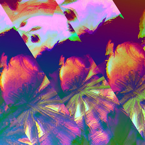 Nine-Folded cover art