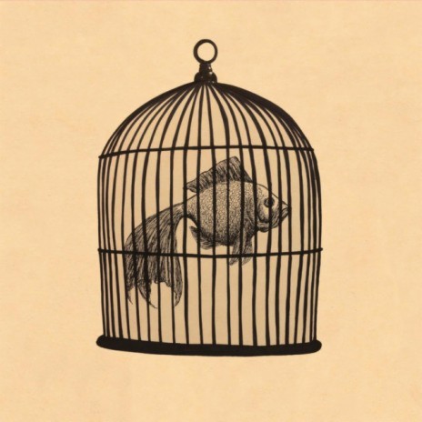 Fish in a Birdcage