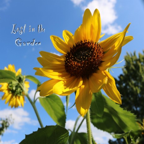 In the Garden - Part 2