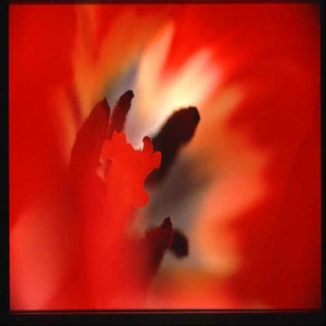 Haiku Dance cover art