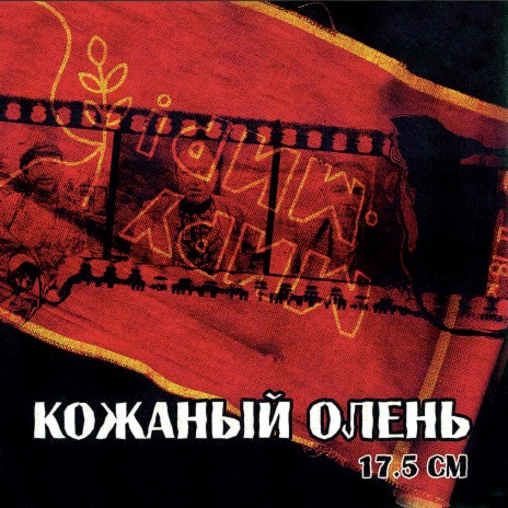 Яйца