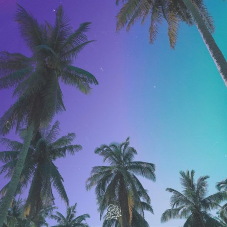 Malibu ft. Bradley Kim