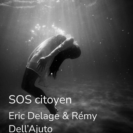 Sos citoyen ft. Rémy Dell'Ajuto cover art