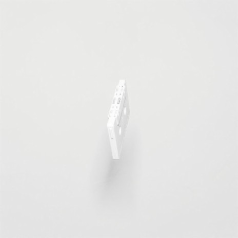 Stripes cover art