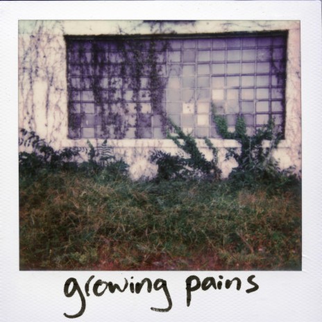 dandelion hands