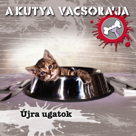 Tüskés Virág