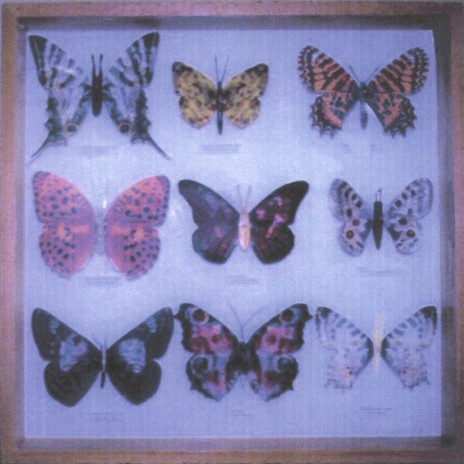 Deeper Still cover art