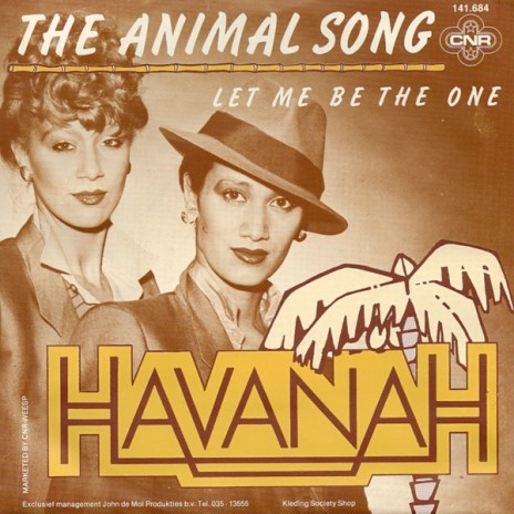 The Animal Song cover art