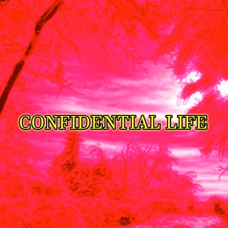 Confidential Life cover art