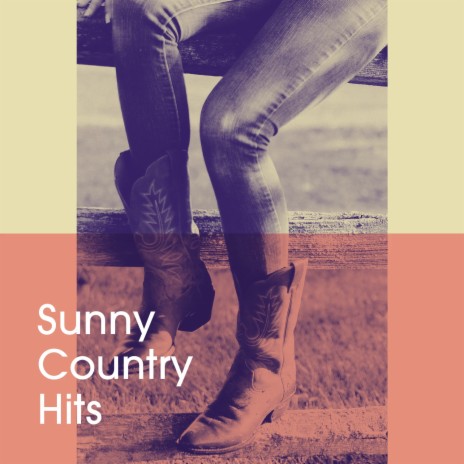 Little Miss Honky Tonk cover art