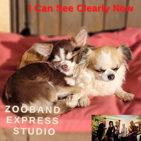 I Can See Clearly Now cover art