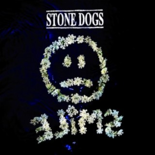 Stone Dogs