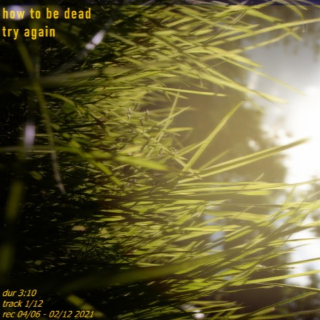 Try Again cover art