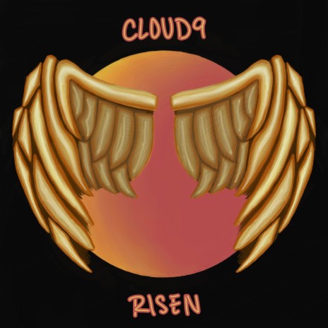 Risen cover art