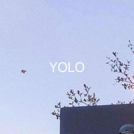 YOLO