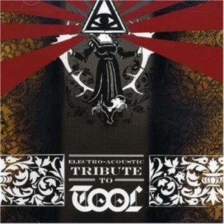 Tool Tribute Band