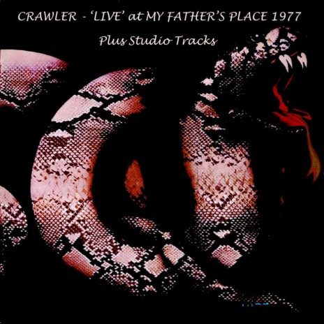 Stone Cold Sober (Live) cover art