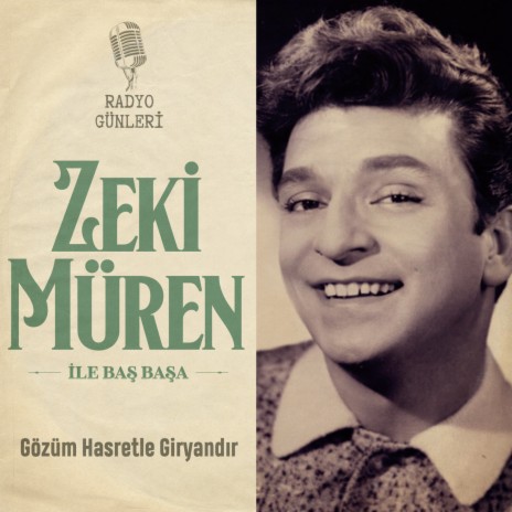 Ne Sevincin Ömrü Varmış cover art