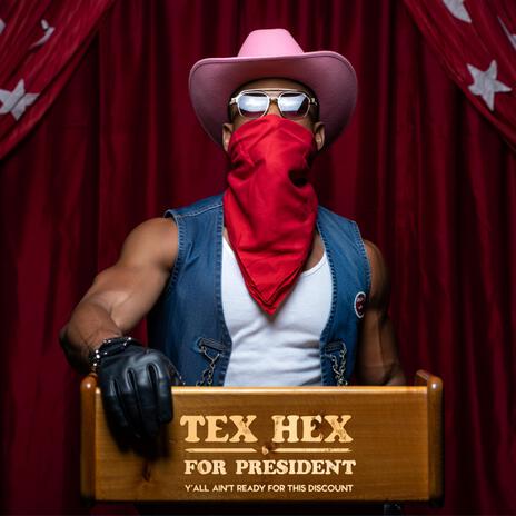 My VP is a horse named ‘Tax evasion’ cover art