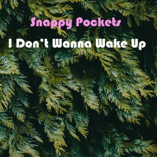 Snappy Pockets