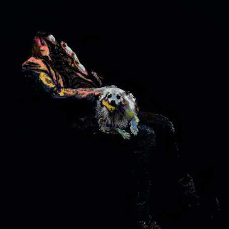 LSS cover art