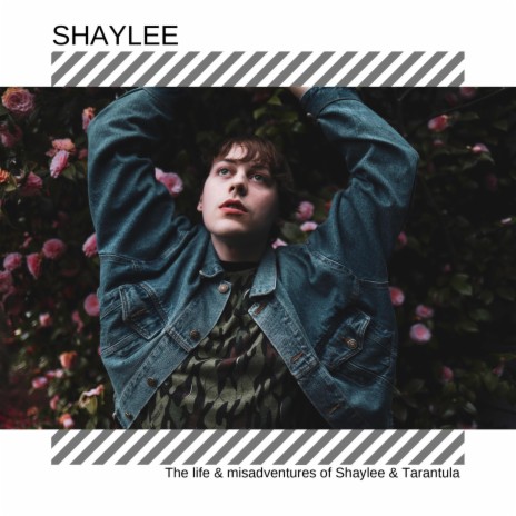 Piss Dirt