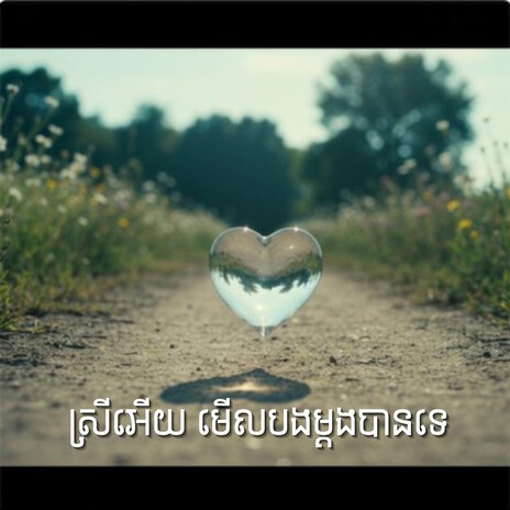 ស្រីអើយ មើលបងម្តងបានទេ cover art