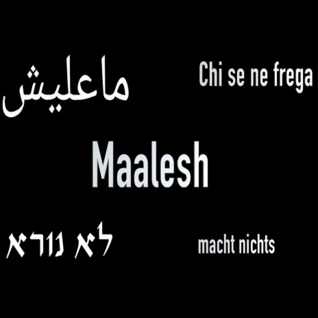 Maalesh ft. Momo Afrika cover art
