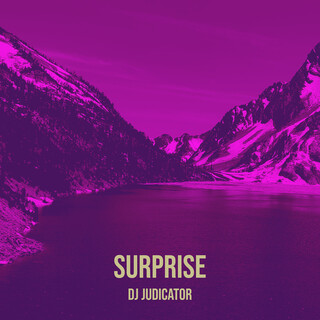 DJ Judicator