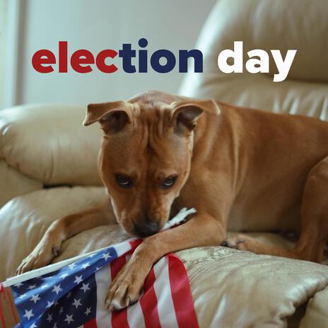 election day cover art