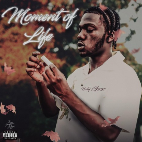 Moment Of Life cover art