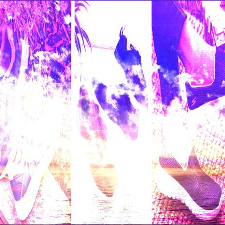 skechers edit cover art