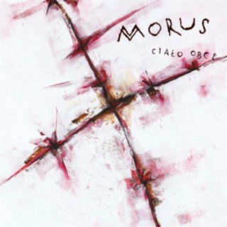 Morus