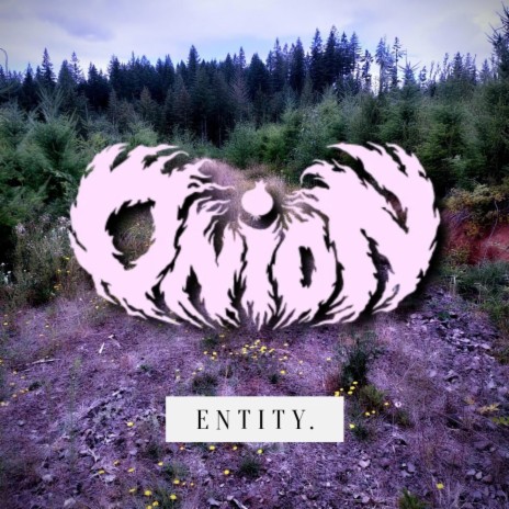Entity. cover art