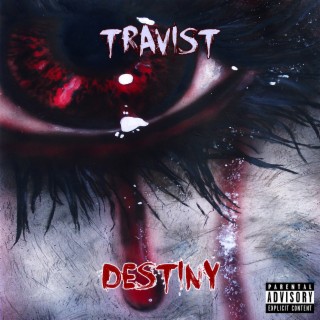 TraVisT