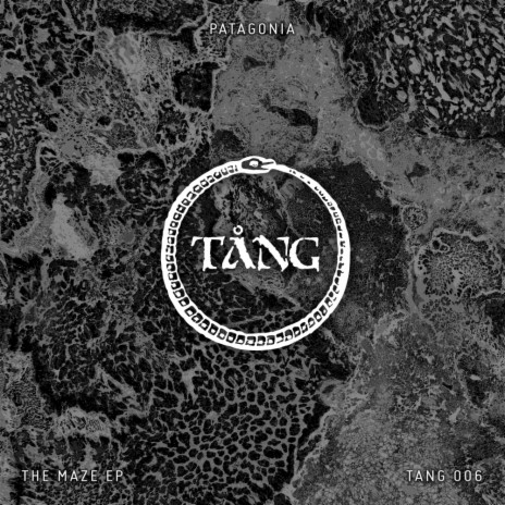 The Maze (Original Mix) cover art