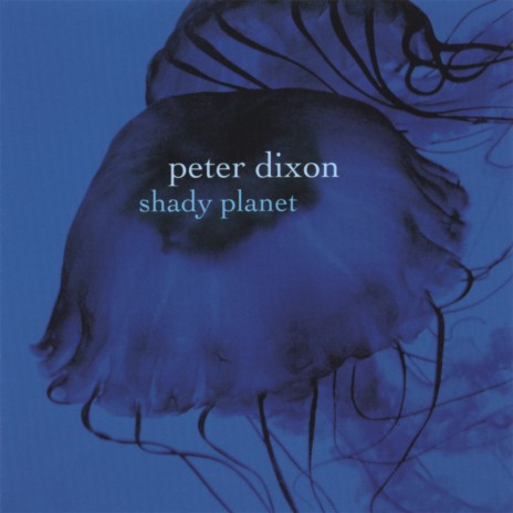 Fluke Attack cover art