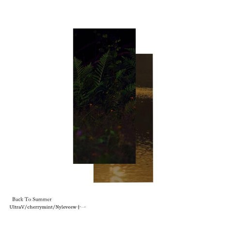 Back to Summer cover art