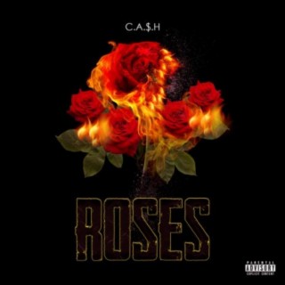 C.A.$.H