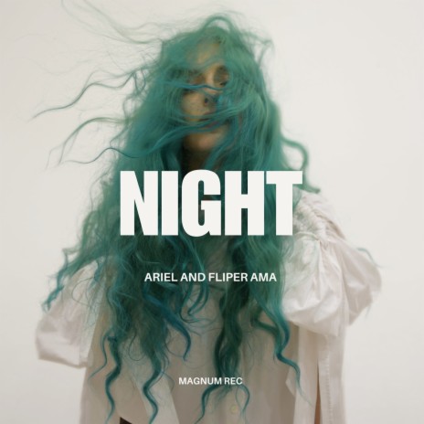 NIGHT ft. Fliper A cover art