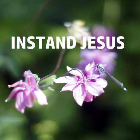 INSTAND JESUS