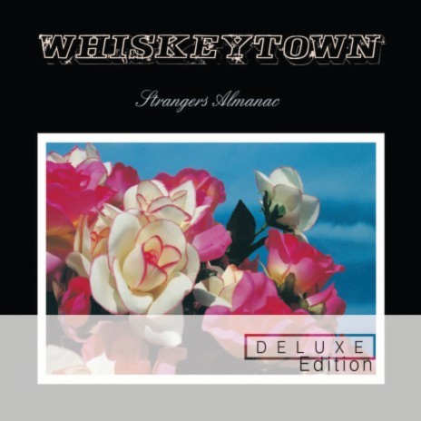 Somebody Remembers The Rose (Album Version)