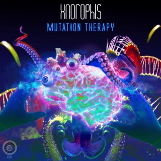 Xnorophis