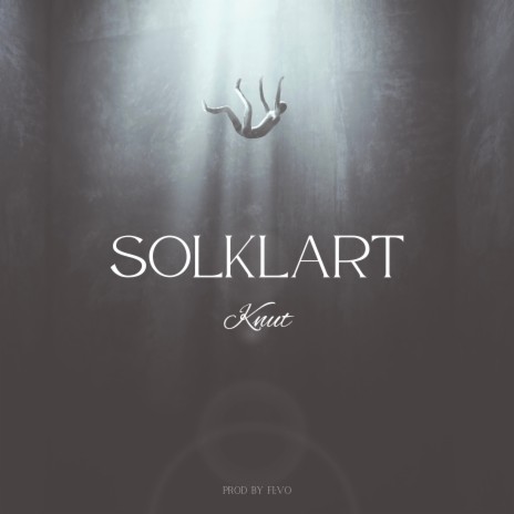 Solklart (Radio Edit) ft. FI:VO cover art
