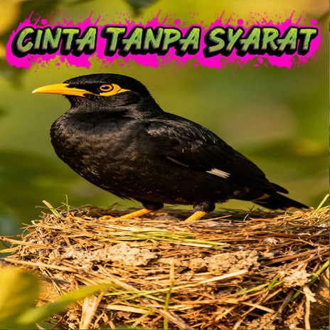 Cinta Tanpa Syarat cover art