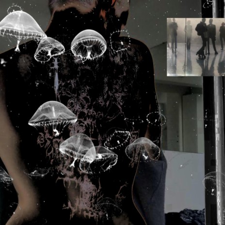 in my heart lies a bullet cover art