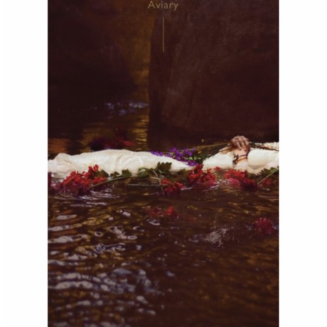 Aviary Mogwai Remix cover art