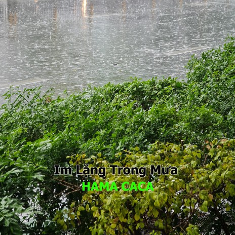 Im lặng Trong Mưa cover art