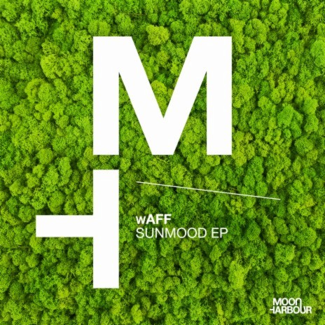 wAFF cover art
