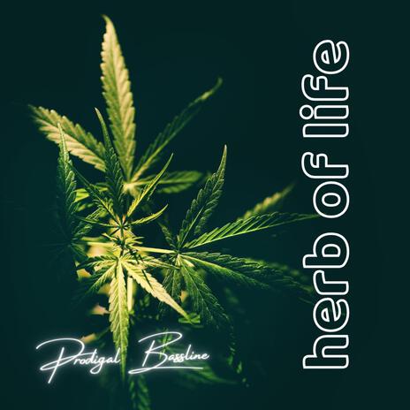 Herb of Life | Mastered